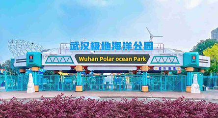 海合安武汉极地海洋公园第 267 张图片
