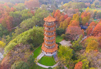 解放公园第 2 张图片