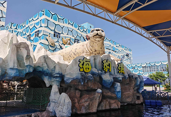 华夏文旅海洋公园第 44 张图片