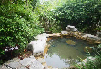 天赐华汤森林温泉(重庆璧山店)第 12 张图片