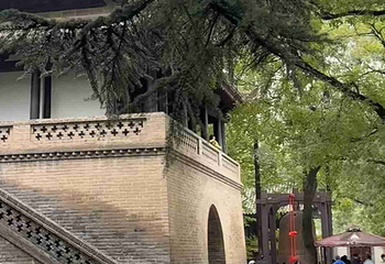 小雁塔遗址公园第 79 张图片