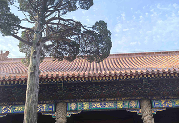 孔庙第 46 张图片