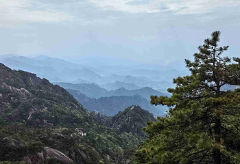黄山风景区第 287 张图片