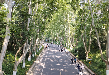 钟山风景名胜区第 147 张图片