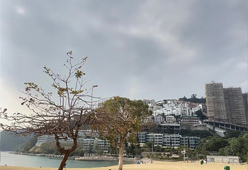 浅水湾第 64 张图片