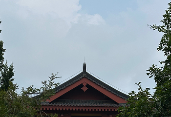 兴庆宫公园第 134 张图片