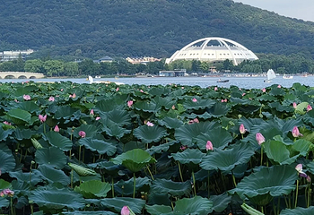 玄武湖景区第 145 张图片