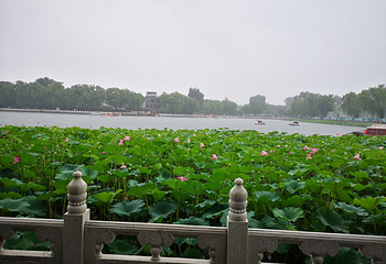 什刹海风景区第 223 张图片