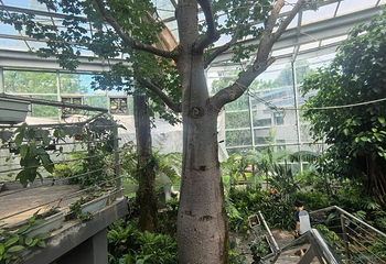 湖南省植物园第 43 张图片