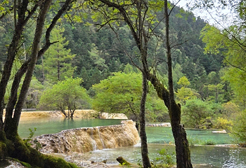 黄龙风景名胜区第 253 张图片
