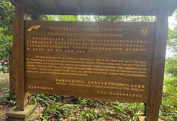 青城山第 194 张图片