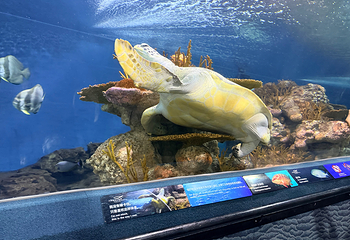 上海海洋水族馆第 154 张图片