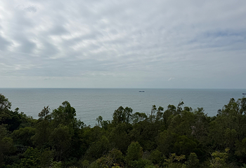海龟湾第 47 张图片