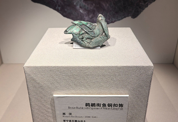 云南省博物馆第 64 张图片