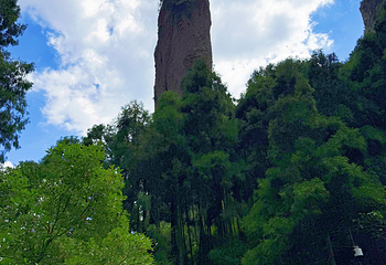 大龙湫景区第 47 张图片