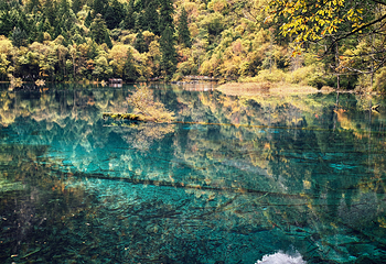 九寨沟风景区第 183 张图片