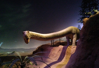 Kitakyushu Museum of Natural History & Human History第 17 张图片
