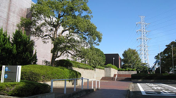 大分県立埋蔵文化财センター