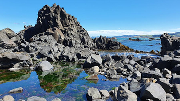 Blackhead Surfing Beach