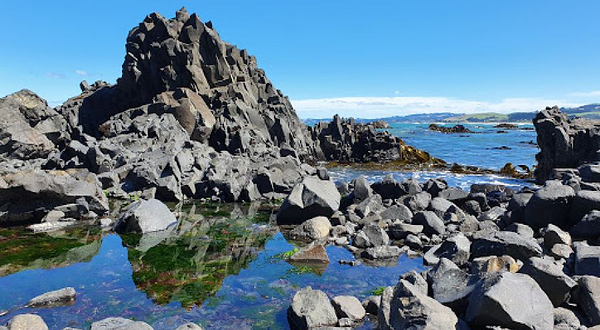 Blackhead Surfing Beach