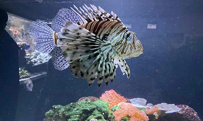 水族馆－水上动物园第 25 张图片