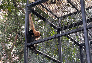 香港动植物公园第 16 张图片