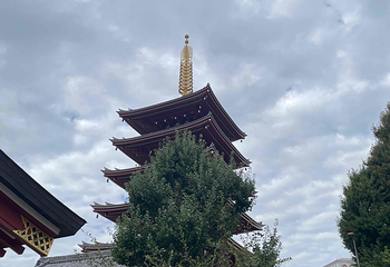 浅草寺第 105 张图片