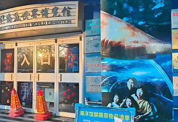 太平洋海底世界第 15 张图片