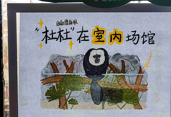 红山森林动物园第 312 张图片