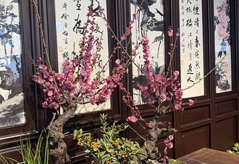 留园第 139 张图片