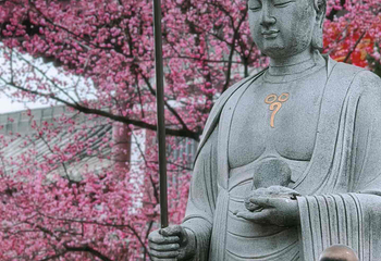 青龙寺第 36 张图片