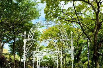 新加坡滨海湾花园第 226 张图片