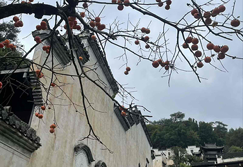 婺源篁岭景区第 344 张图片