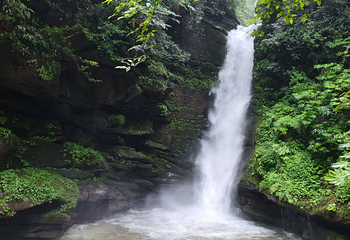 碧峰峡景区第 140 张图片