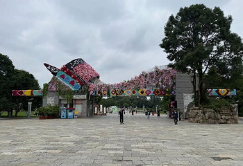 石林风景区第 195 张图片