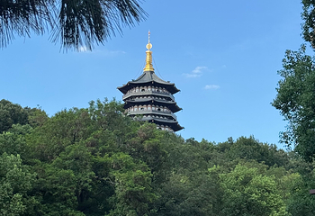 西湖观光游览车第 25 张图片