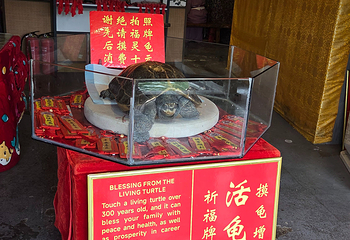 芙蓉镇第 140 张图片