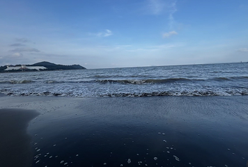 黑沙海滩第 50 张图片