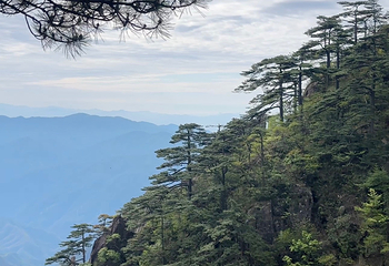 黄山风景区第 253 张图片