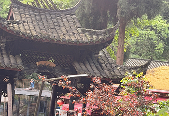 青城山第 340 张图片