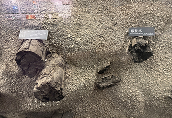 长白山自然博物馆第 40 张图片