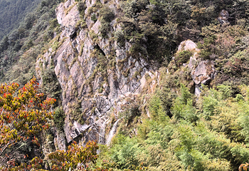 庐山风景名胜区第 172 张图片
