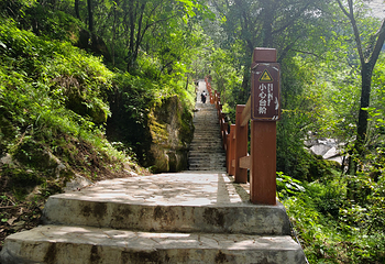 金佛山第 130 张图片
