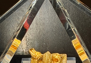 南越王博物院(王墓展区)第 266 张图片