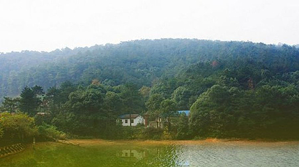 湖南嘉山国家森林公园第 1 张图片