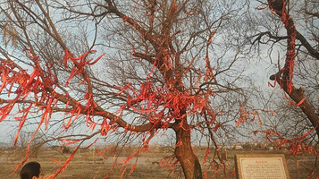 蚌埠禹会村遗址国家考古遗址公园