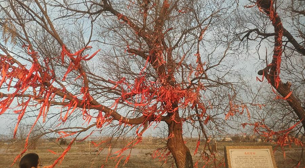 蚌埠禹会村遗址国家考古遗址公园