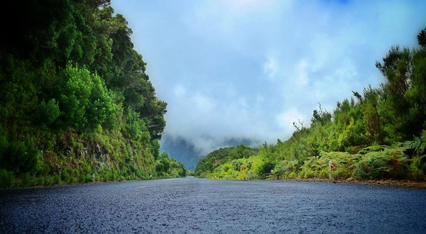 马德拉月桂树公园