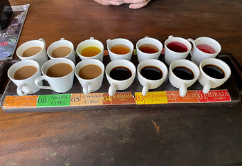 Segara Windhu Coffee Plantation第 6 张图片