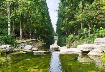 东平国家森林公园第 23 张图片